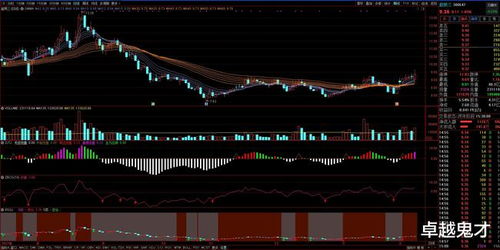 每日三股 2022年2月15日細胞技術研發與應用投資熱點分析