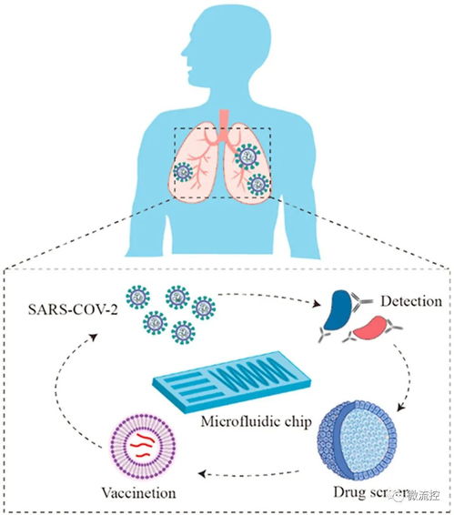 微流控技術在新冠肺炎診斷和藥物研發及細胞技術領域的應用