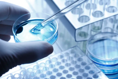 中國(guó)干細(xì)胞公司排名前十名 引領(lǐng)細(xì)胞技術(shù)研發(fā)與應(yīng)用的創(chuàng)新力量